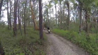 a ride on the bikes.