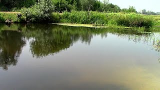 Маленькая речка Трубеж. Landscape of small river Trubezh.