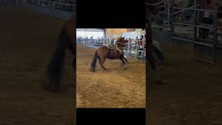 Here’s the run that would’ve been a 9.0 #sheridanlostroh #lilfreckilbe #goattying #rodeo #equine