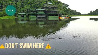 Do not go swimming here PANAMA