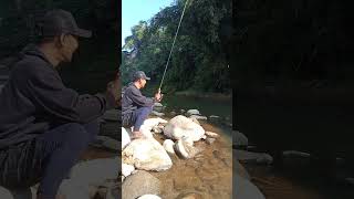 ikan brek sungai galoh