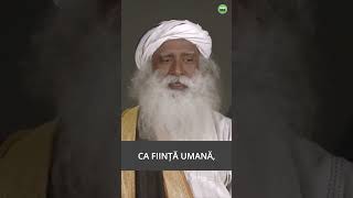 Carnea sau fructele Care sunt mai bune  Sadhguru shorts