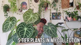 The Best in Class of Plants