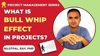 What is BULLWHIP EFFECT in Project Management? Bullwhip Effect Explained