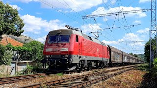 Влак на DB Cargo с локомотив 86019, през Провадия