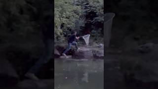 Guy netting salmon