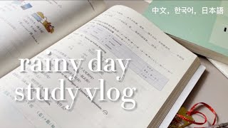 rainy study day | studying chinese, korean and japanese | study vlog