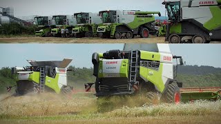 |Harvest|2024|7xClaas Lexion, Claas Trion|Fendt, Claas Axion