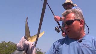 Belize Jungle River Fishing