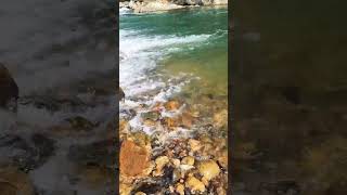 Beautiful river in waihi NewZealand |Amazing nature  #shorts #love