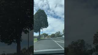 Driving to Mount Roskill