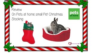 Review on Pets At Home Small Animal Stocking