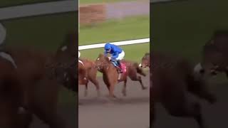 I don't post or agree with horse racing but this clip just felt right