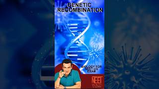 Process of Genetic Recombination | Genetic Engeneering | class 12th Biology #neet #biology