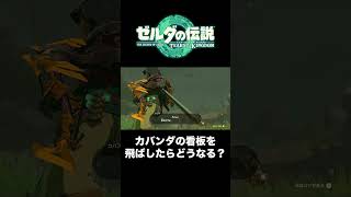 【ティアキン】カバンダの看板を飛ばしてみたshorts【ゼルダの伝説 ティアーズオブザキングダム】