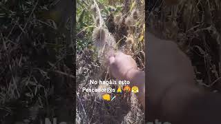 PESCADORES NO HACER ESTO CUIDAR EL CAMPO NO TIRÉIS BASURA GUARROS