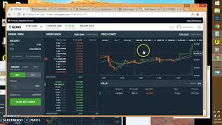 How to Trade Buy/Sell ETH to the USD on GDAX *Day 2 of My Crypto Trading Expt Made 1.5% ROI