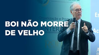 SEDAGRO: Antônio Camardelli: presença do fiscal é essencial