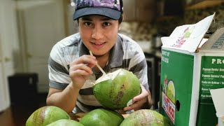 COCONUT HUNTING IN THE CITY