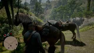 Red Dead Redemption 2_20240318133448