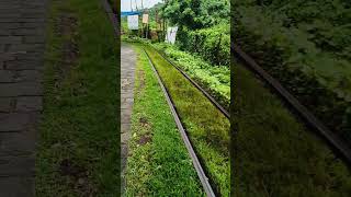 Elephanta Island mini train track 🚆🚂 #track #sort #travel #train #elephantaisland #island #views