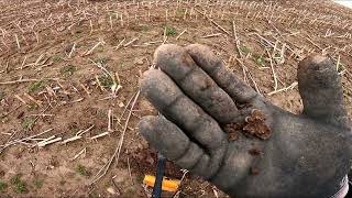 Ringe, Brosche, Schnalle,  Knöpfe auf die schnelle nach der Arbeit