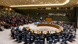 🔴 UN Security Council holds Ukraine talks requested by US, Slovenia!