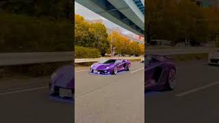 Lamborghini car racing