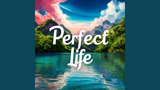 Perfect Life