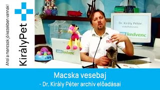 Macska vesebaj