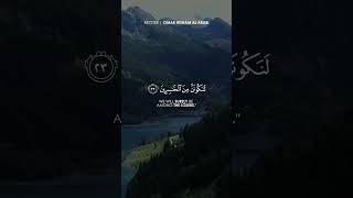 Day 13 | 40 Rabbana Duas | Omar Hisham Al Arabi #shorts #viral #tiktok #islam #islamic #ramadan