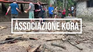 Kora's Leak - Wood teambuilding