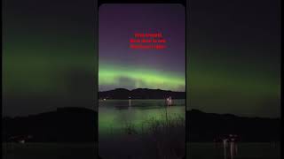 Chasing the Northern Lights #auroraborealis #northernlights #iceland #shorts #trending #explore