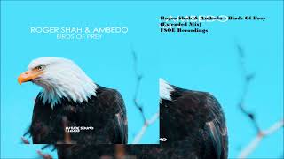 Roger Shah & Ambedo - Birds Of Prey (Extended Mix)