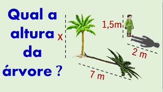 Trigonometria -  Semelhança de Triângulos ( Exercicios de Trigonometria )