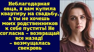 Неблагодарная овца, я вам купила квартиру на свадьбу, а ты не хочешь моих родственников пустить