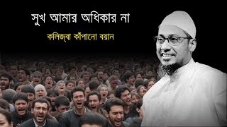 সুখ আমার অধিকার না !😭😭 | কষ্টের ওয়াজ ২০২৪ #আনিসুর_রহমান_আশরাফী_২০২৪ #anisur_rahman_ashrafi_waz