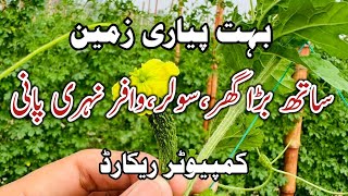 Agriculture Land For Sale in Punjab Pakistan || Zameen For Sale || Azhar Jahangir official