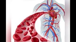 #heart | coronary angiogram vs coronary angioplasty |