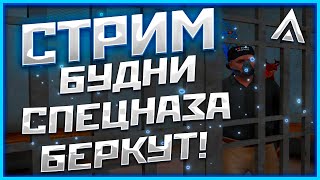 БУДНИ СПЕЦНАЗА "БЕРКУТ"! | СТРИМ НА AMAZING ONLINE В GTA CRMP