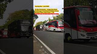 Hunting Bus Di Taman Kapur Tuban #shorts #huntingbus #bus #busmania #jetbus #sholawatbadar