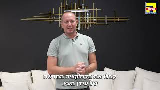 לאאז מדיה עידן העץ