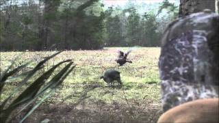 Fischer Phillips First Turkey