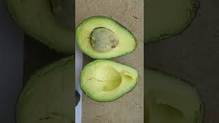 GEM avocado maturity