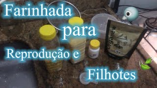 "Farinhada de reprodução e filhotes " 🐦🍃