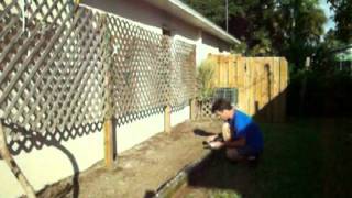 Gardening with Spathy & Pongo 10/18/09 Part 7 of 7