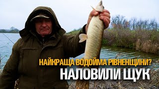 Найкраща водойма Рівненщини? Наловили щук. Величезні коропи. Остання осіння рибовля 2023 року.