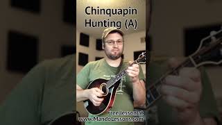 Chinquapin Hunting (A)!