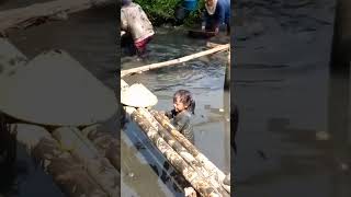 nangkap ikan rame rame seru banget #shortsyoutube