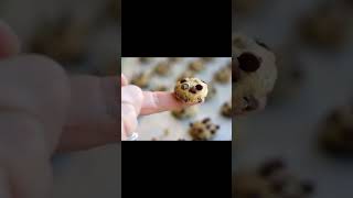 world smallest cookie and world biggest cookie